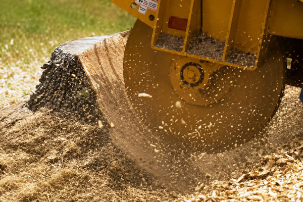Stump Removal